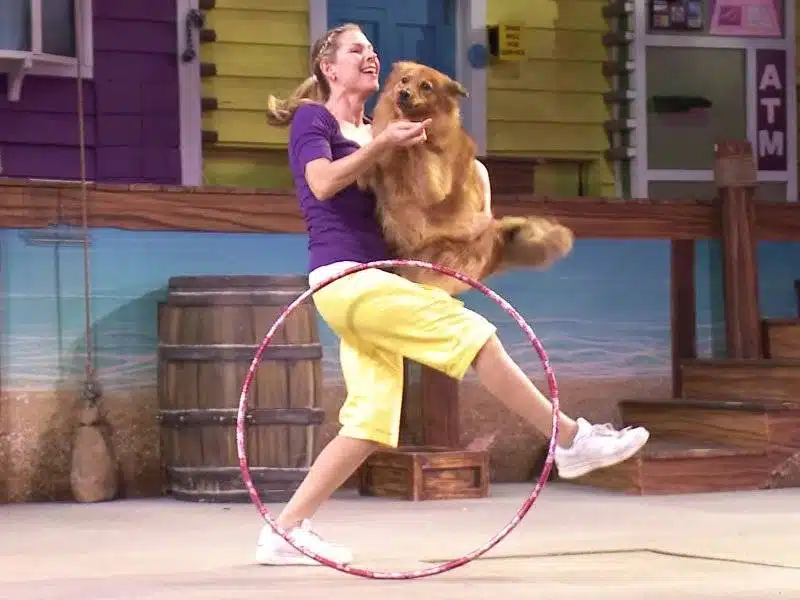 atração mais divertida do seaworld - pets ahoy seaworld - diversão para toda família - animais seaworld - Seaport Theater